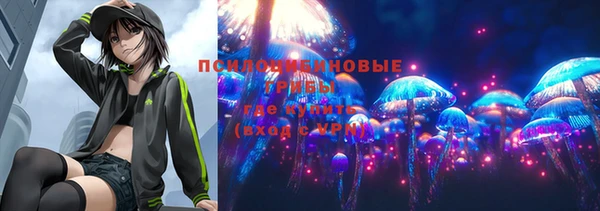 бошки Беломорск