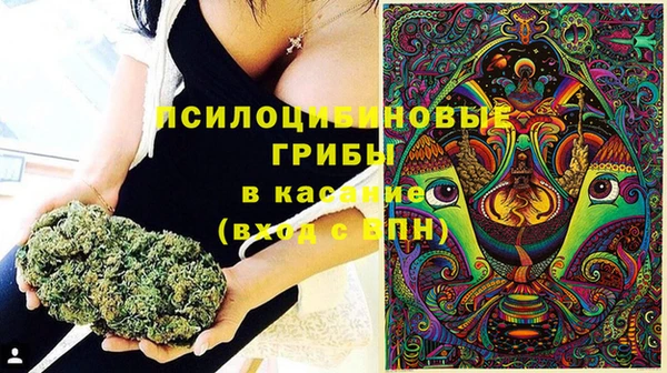 ешки Белокуриха