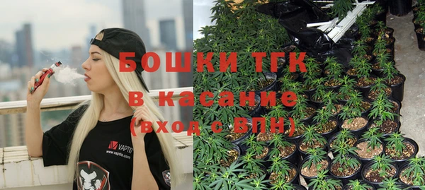 ешки Белокуриха