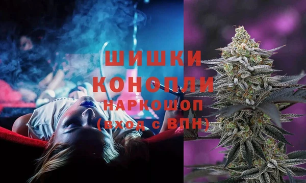 ешки Белокуриха
