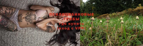 ешки Белокуриха
