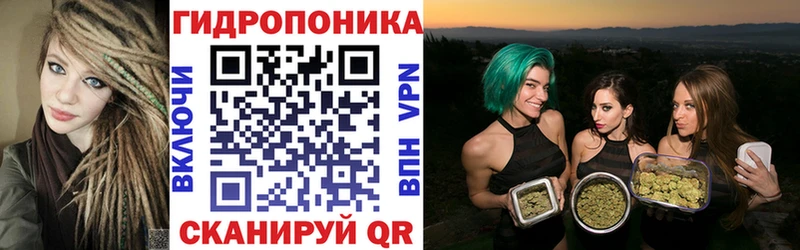 Бошки Шишки OG Kush  кракен ссылки  Красавино 